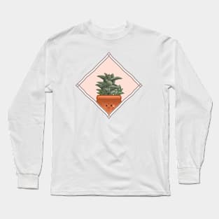 Haworthia Viscosa Succulent in a Rectangle Frame Long Sleeve T-Shirt